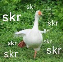 用吃瓜群众造句,揭秘网络围观背后的社会现象  第2张