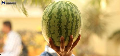 娱乐爆吃瓜,明星们的“吃货”日常大揭秘  第3张