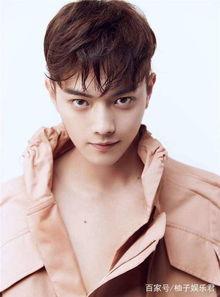 吃瓜娱乐八卦白鹿许凯,吃瓜娱乐八卦中的甜蜜邂逅  第3张