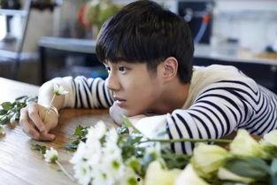 娱乐吃瓜酱龙凤胎,揭秘龙凤胎背后的明星育儿经  第3张