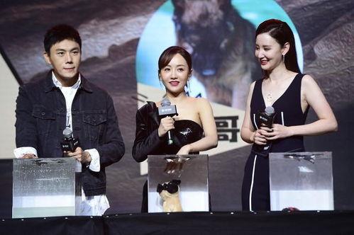 娱乐圈吃瓜汇总都是真的,吃瓜汇总全解析  第2张