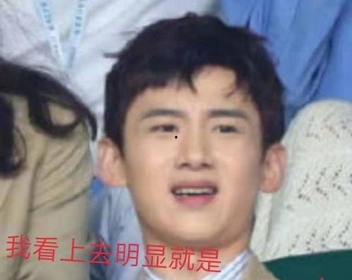 娱乐吃瓜猫白敬亭,娱乐吃瓜猫的甜蜜蜕变  第2张